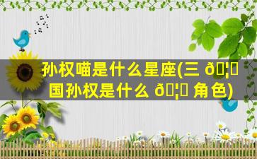 孙权喵是什么星座(三 🦟 国孙权是什么 🦅 角色)